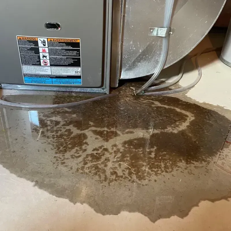 Appliance Leak Cleanup in Tennessee Ridge, TN